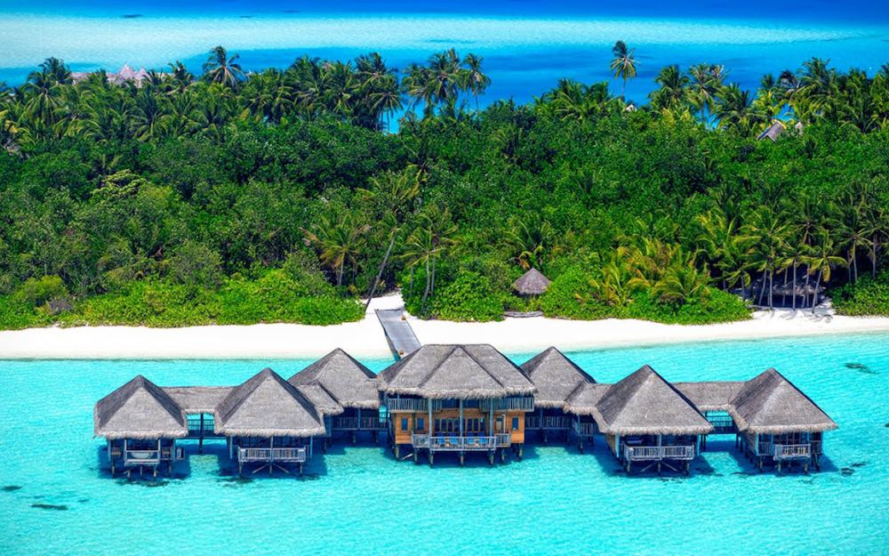 Coral Glass - Gili Lankanfushi Maldives – Once in a Lifetime
