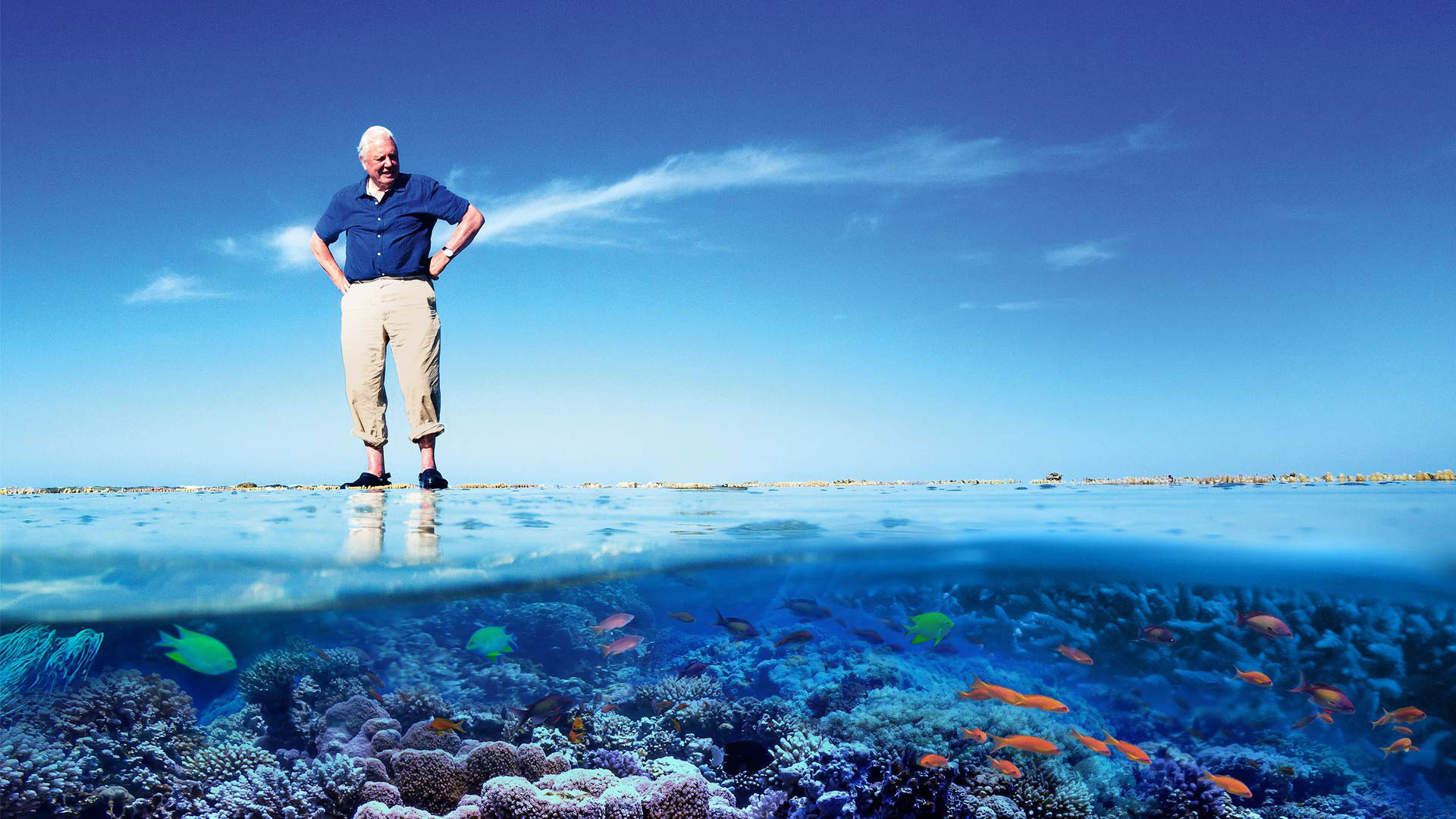 Take a Virtual Tour of the Great Barrier Reef