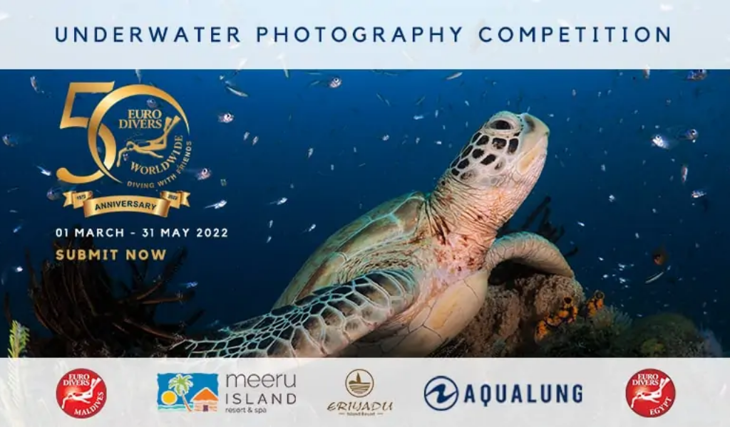 Show Off Your Underwater Photography Skill and Win Big!