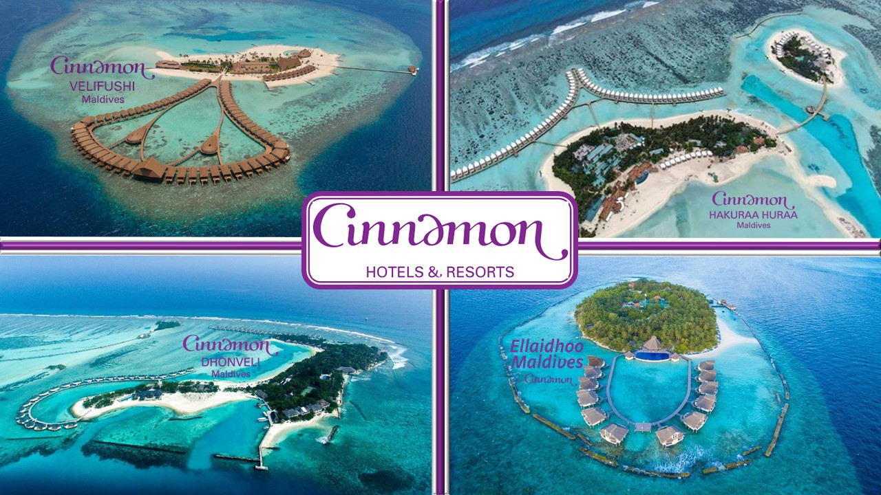 A Splendid Holiday and More Within Your Reach! My Cinnamon Wallet Offer