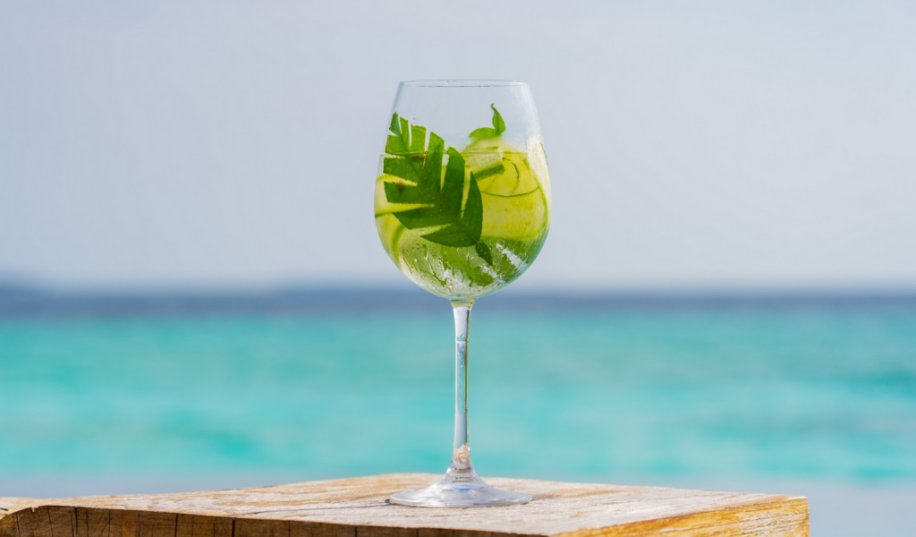 Experience Gin at its finest with a Curated Gin Masterclass at Milaidhoo.