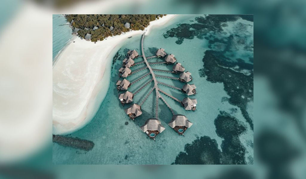 Ten Years of Turtle Rescue and Research at Coco Palm Dhuni Kolhu 