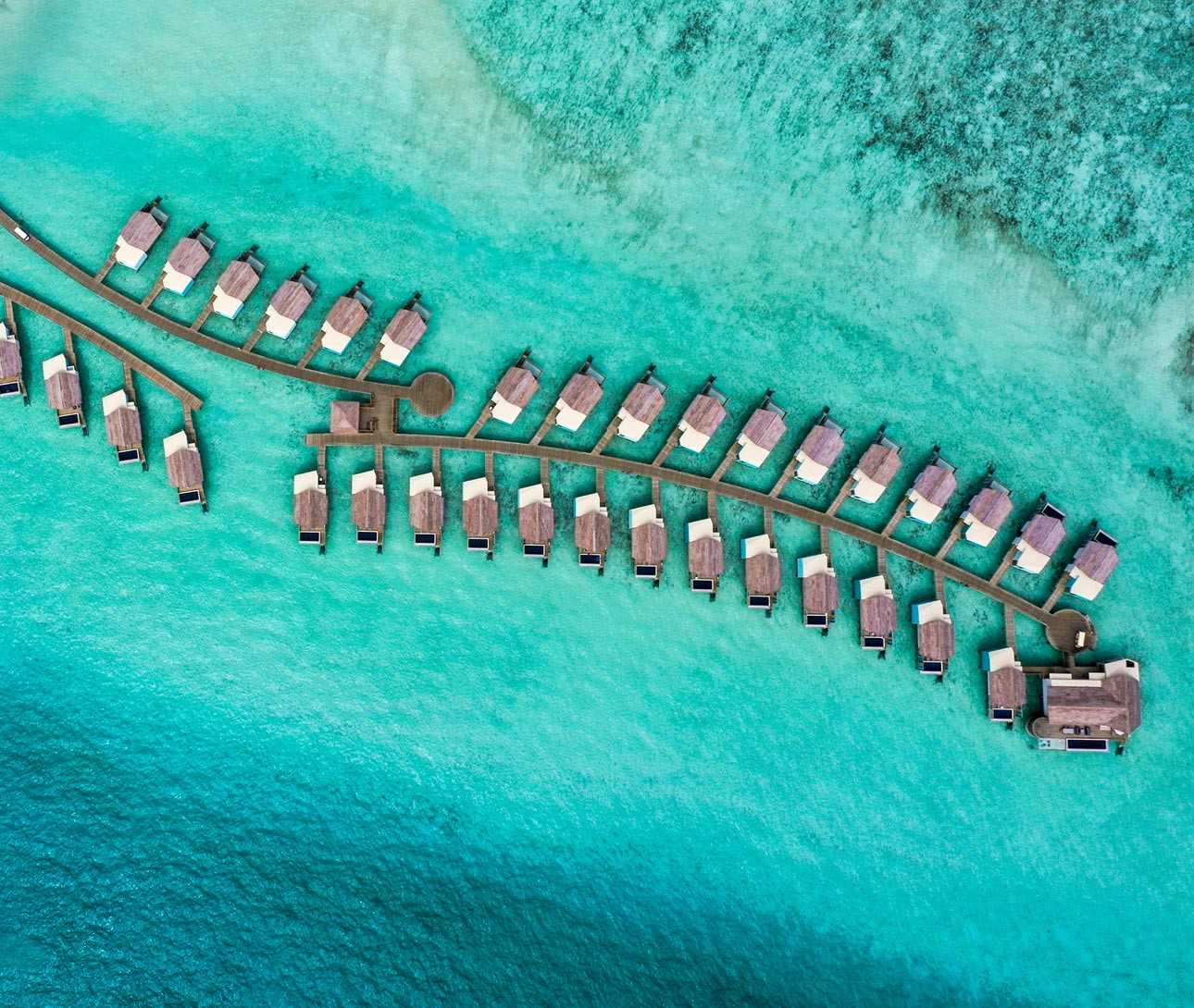 Eid al-Adha Comes Alive at CROSSROADS Maldives