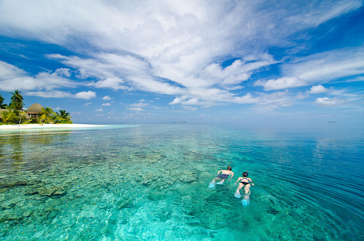 Dive into Adventure: Explore Kandolhu Maldives' Vibrant House Reef