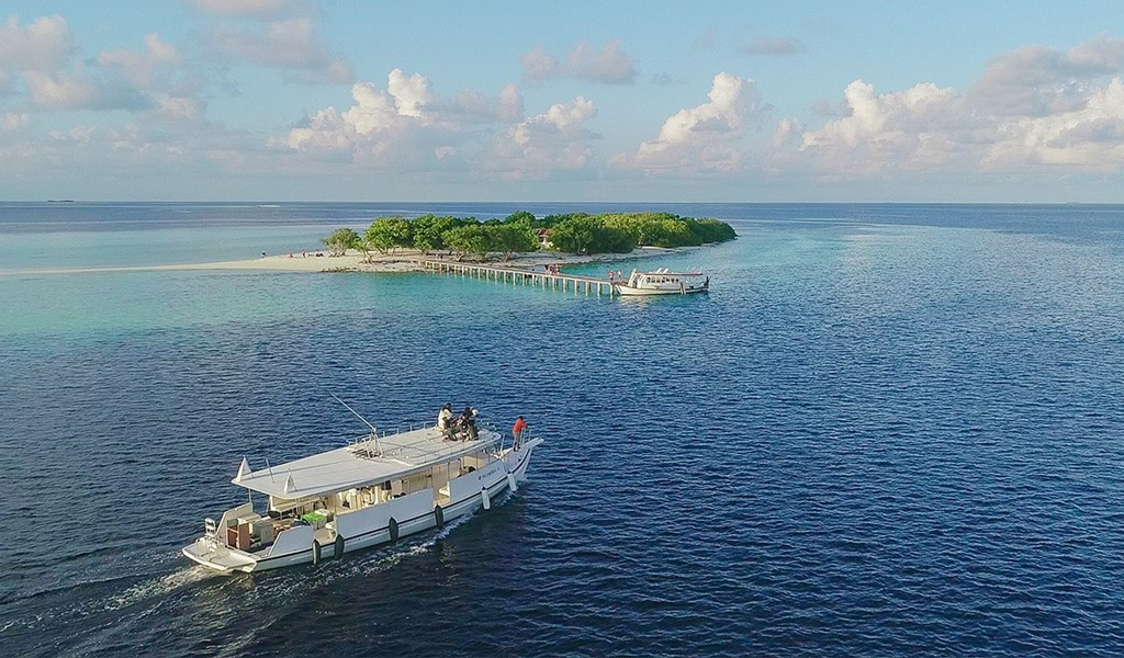 Explore the New, Discover Vaavu at Plumeria Maldives