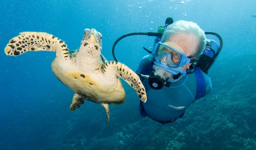 See The Vibrant Colors Of The Ocean With Jean-Micheal Cousteau At The Ritz-Carlton Maldives
