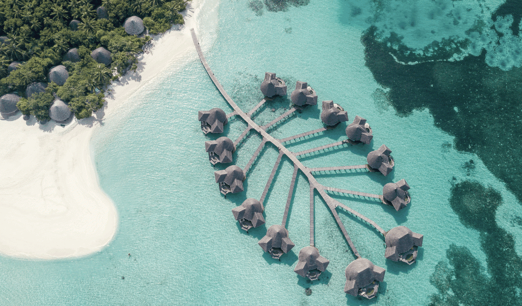 Dive into Purpose at Coco Palm Dhuni Kolhu This World Environment Week