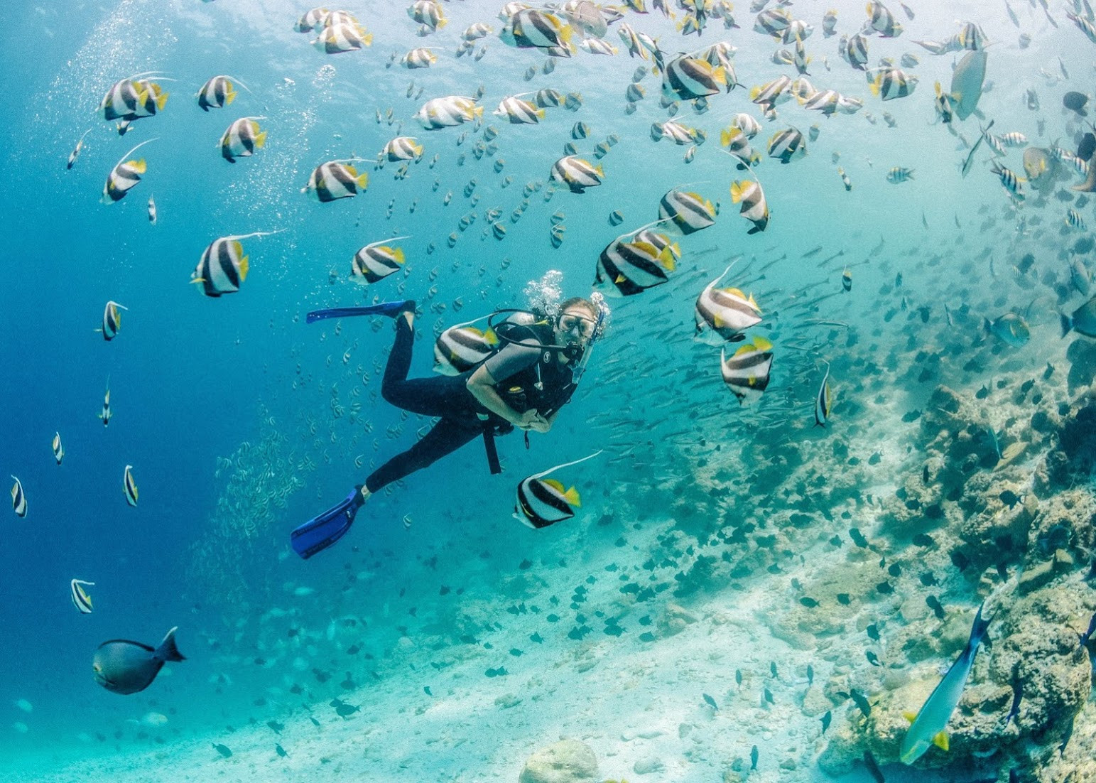 Gili Lankanfushi’s Marine Giveaway to Mother Nature