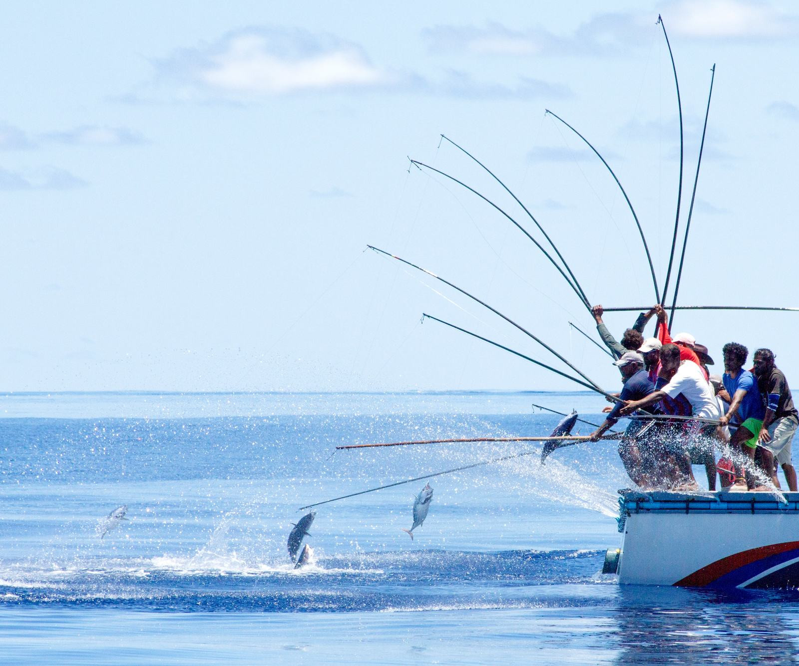 One-by-one Tuna Catch Fishery in Maldives