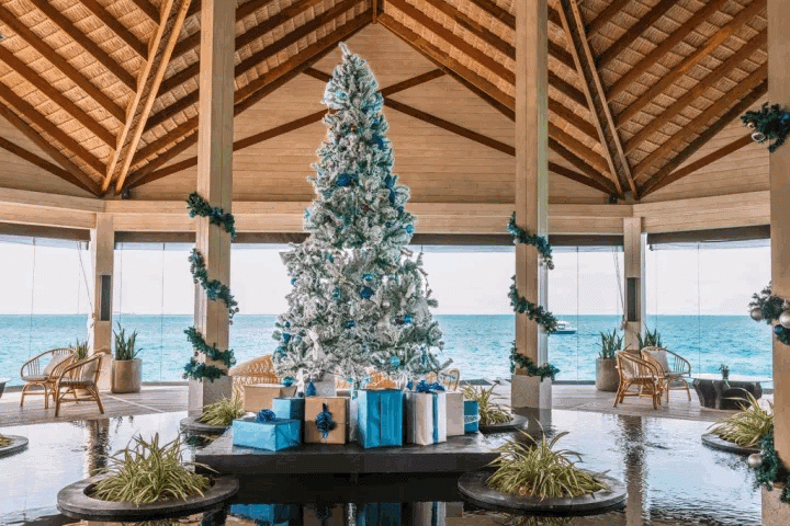 Hilton Maldives Unveils Nature’s Mystique Festive Program