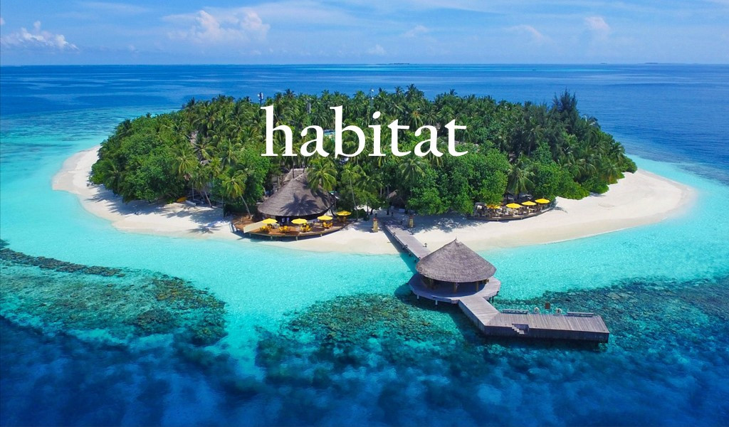 Habitat is When Banyan Tree's Resorts in the Maldives Become Your Home