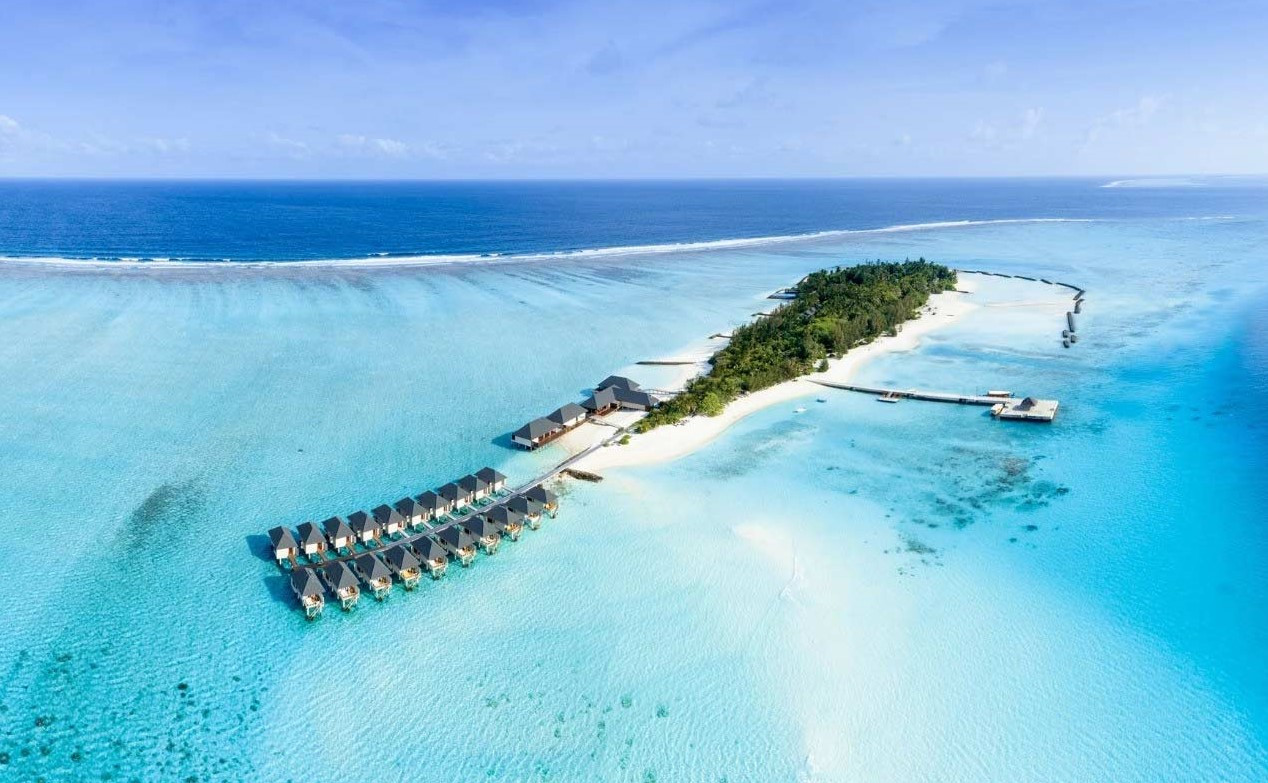 Experience Toddy Tapping in Maldives with Summer Island Maldives