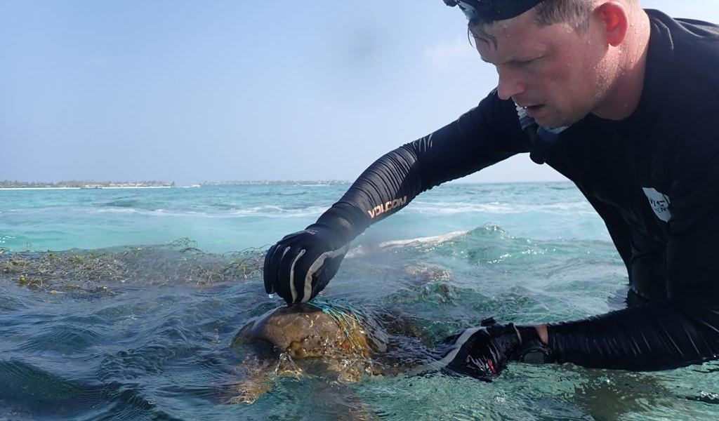 The Ritz-Carlton Maldives X Olive Ridley Project Establish Turtle Conservation Infrastructure