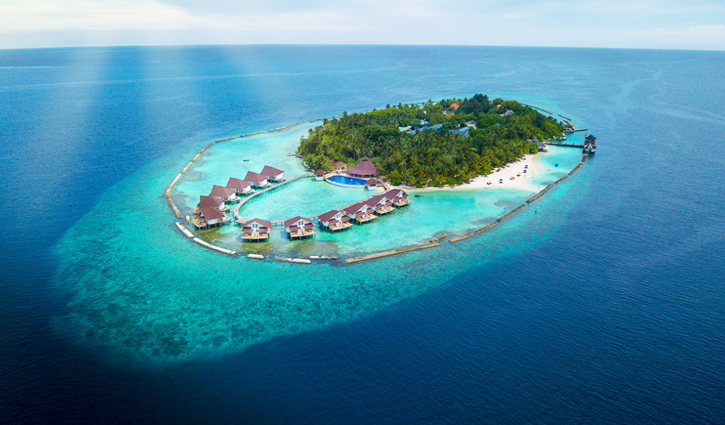 Explore These Irresistible Dive Locations At Ellaidhoo Maldives by Cinnamon