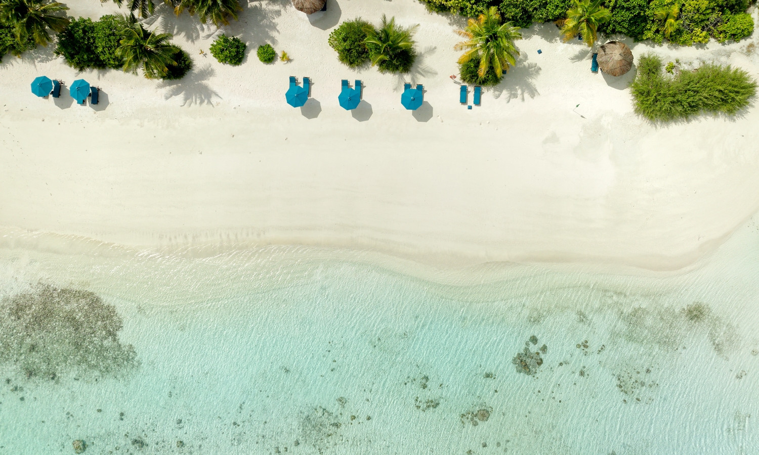 Canareef Resort Maldives Hosts Week-Long Environmental Awareness Events