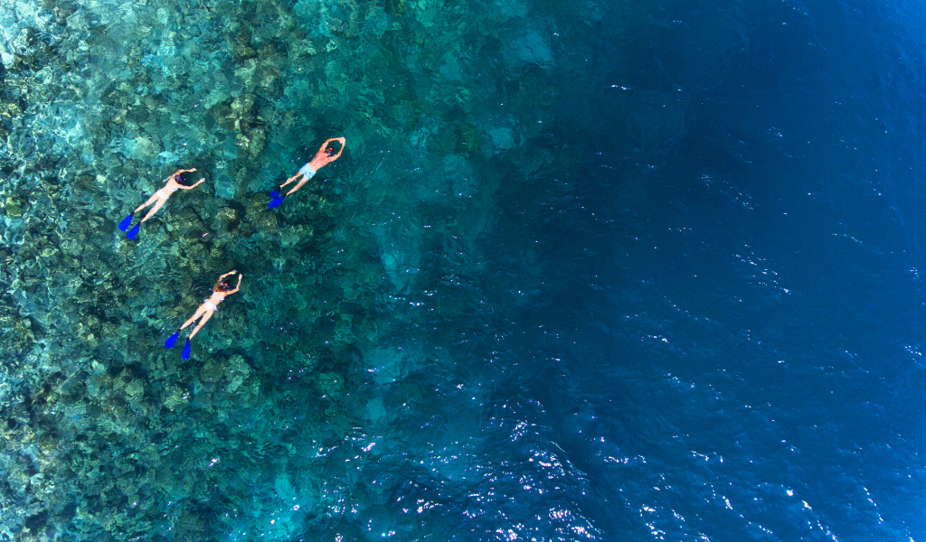 Vakkaru Maldives' Deep Sea Odyssey; A one-of-a-kind Summer Conservation Vacation