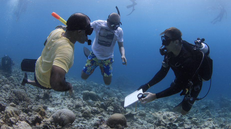 Research on Maldives’ Reefs & Marine Life
