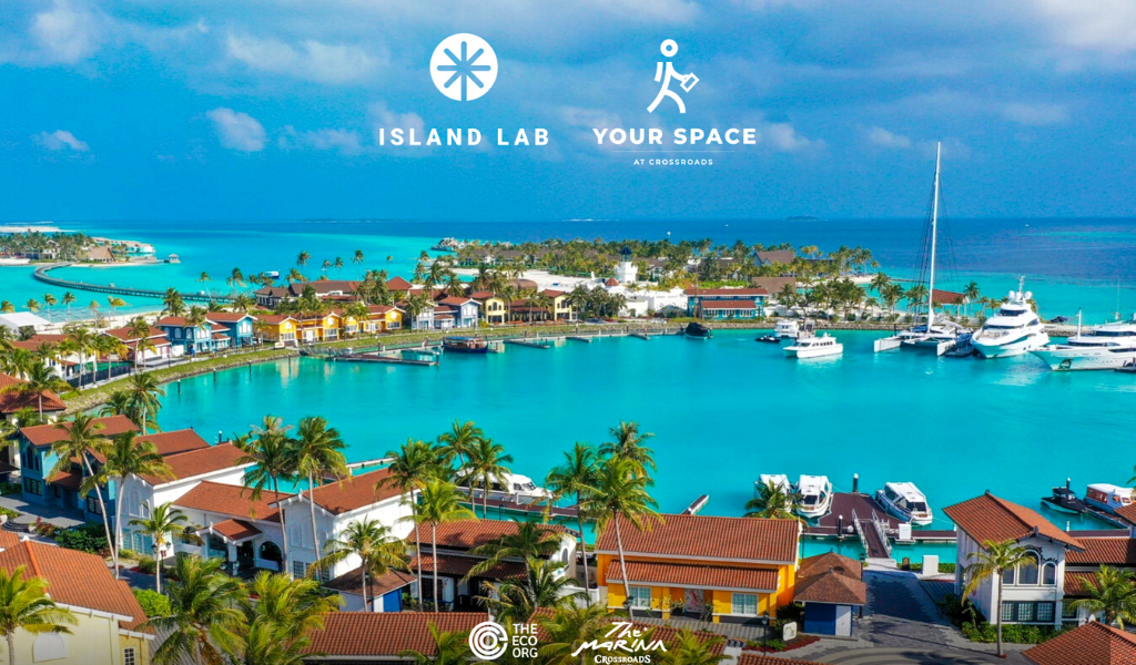 Encouraging Sustainable Solutions for Communities – All About Island Lab’s Accelerate Programs