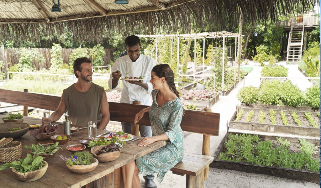 Have A Look at the Top Luxury Vacays for You in Maldives If You’re A Vegan