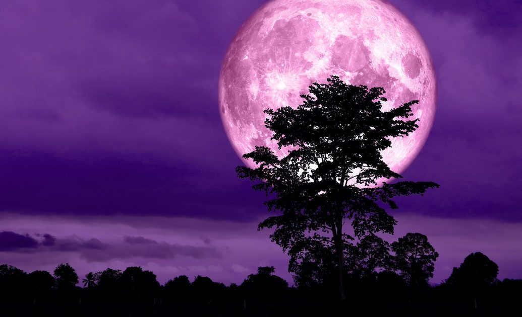SuperPink Moon Tonight! Biggest Full Moon of 2020