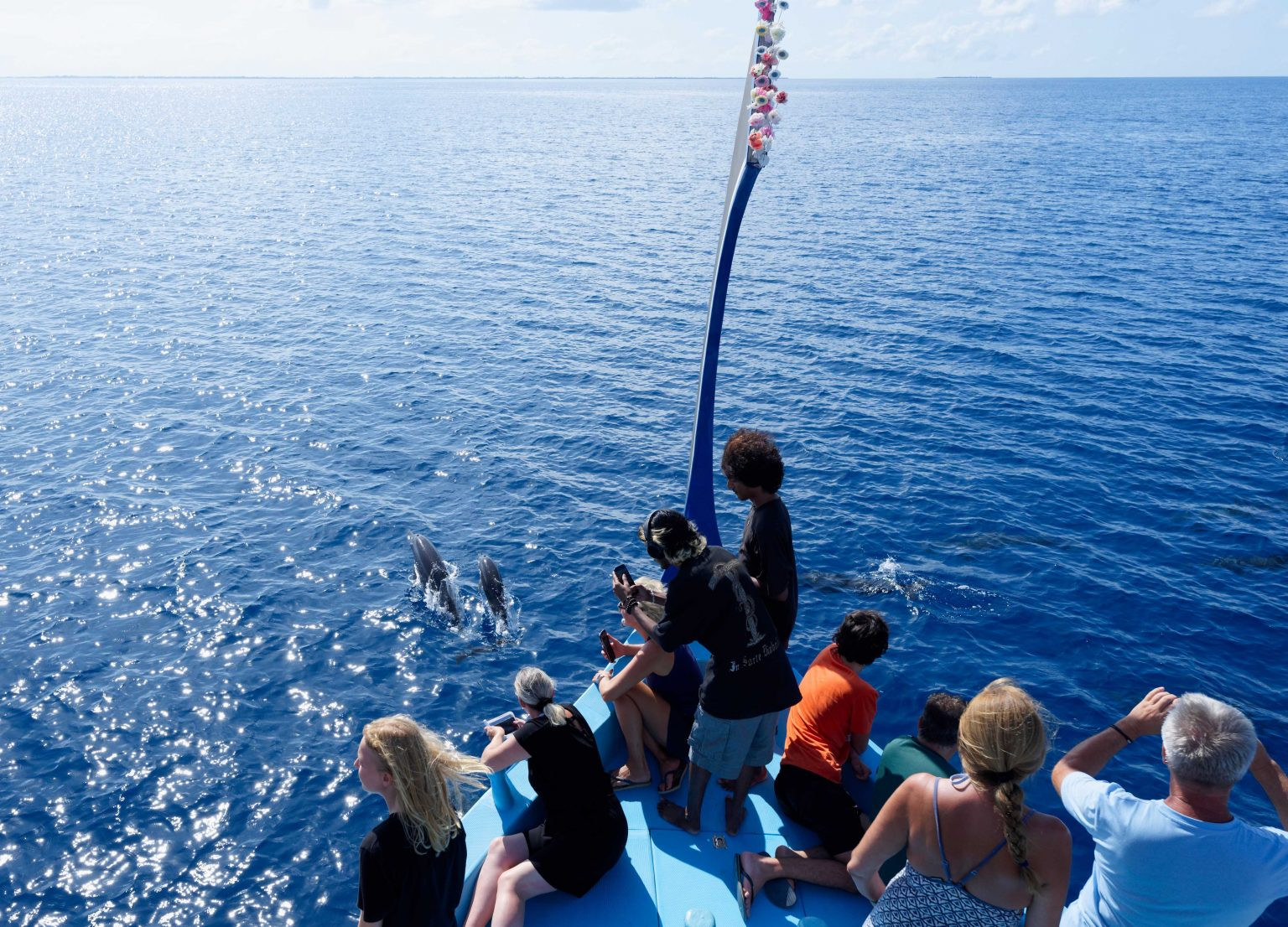 Dolphin Encounters at Canareef Resort Maldives