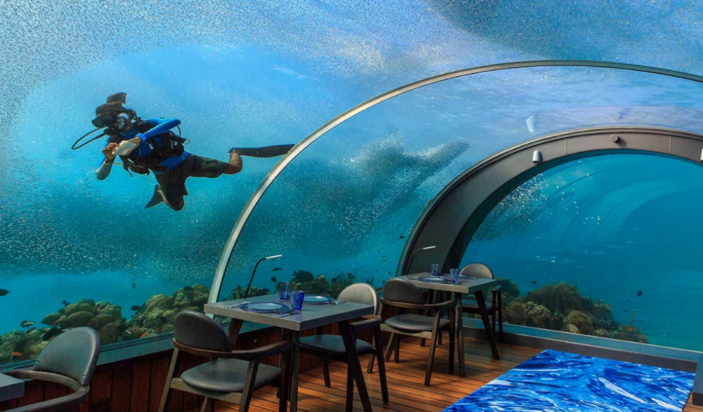 This could be the Coolest Job in the World- After All, It Is in Maldives!
