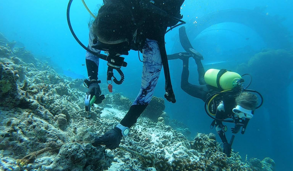 Hurawalhi Maldives Enters 2021 Protecting a National Treasure, Unmatched Natural Beauty