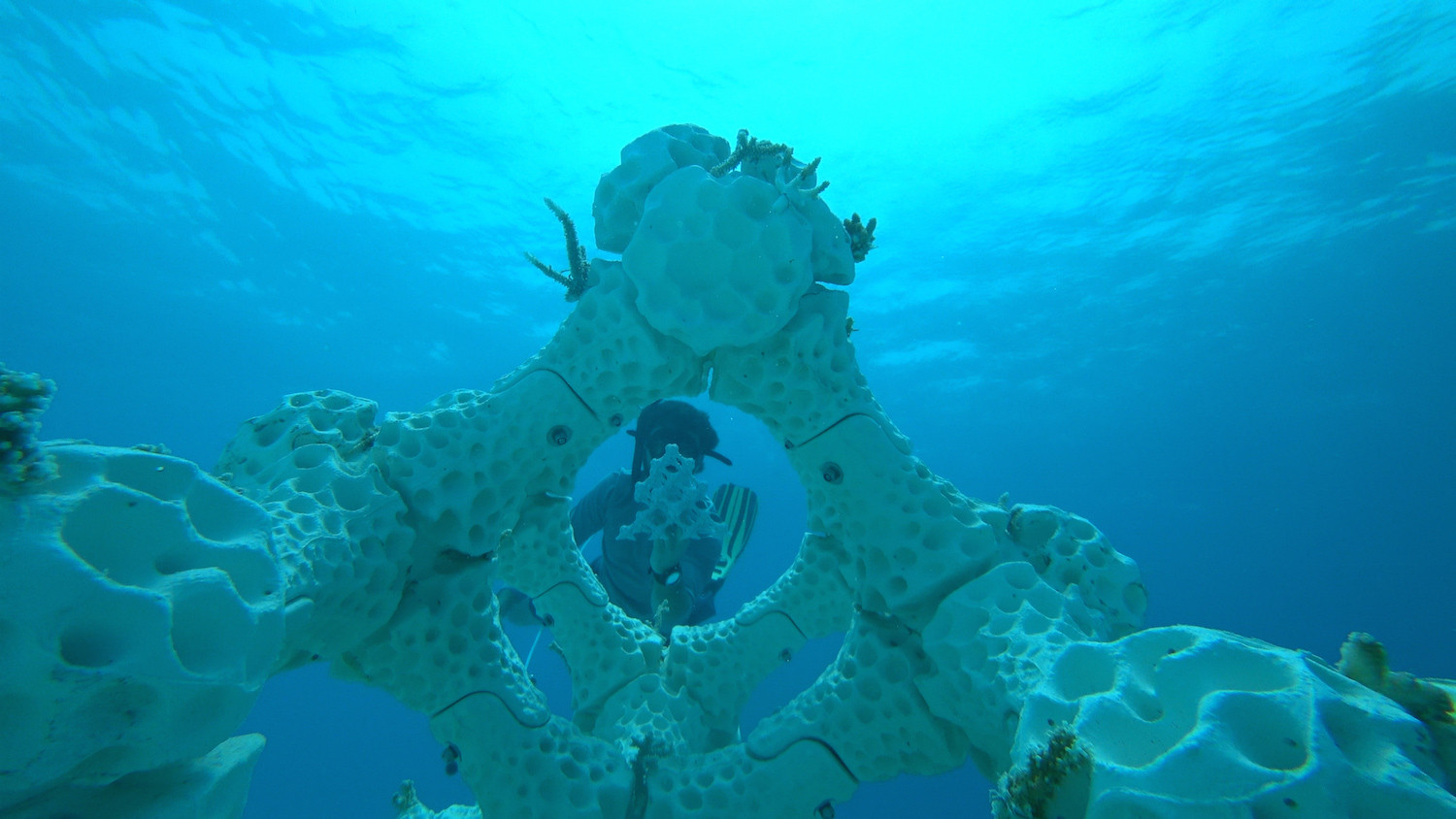 Summer Island Celebrates Two Years of Man-made Reef Structure
