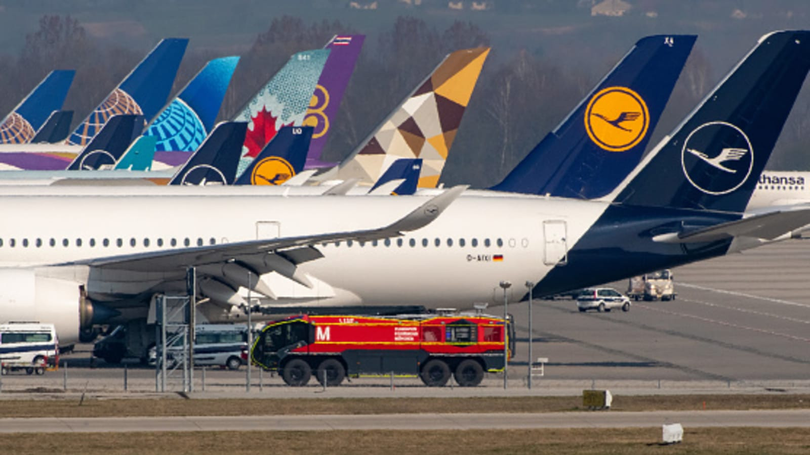 IATA Develops Global Portal for Airline Industry