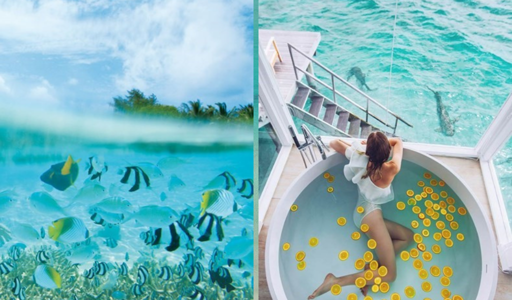Delve Into The Sea’s Healing Powers At LUX* South Ari Atoll