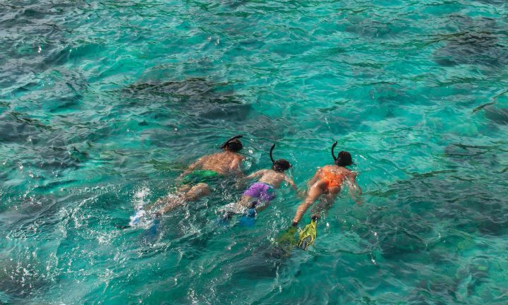 Living with the Reef at Dusit Thani Maldives