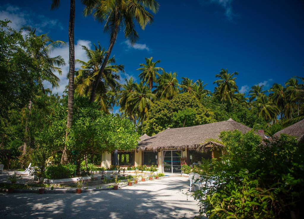 Experience Peace & Tranquility at Biyadhoo Island Resort