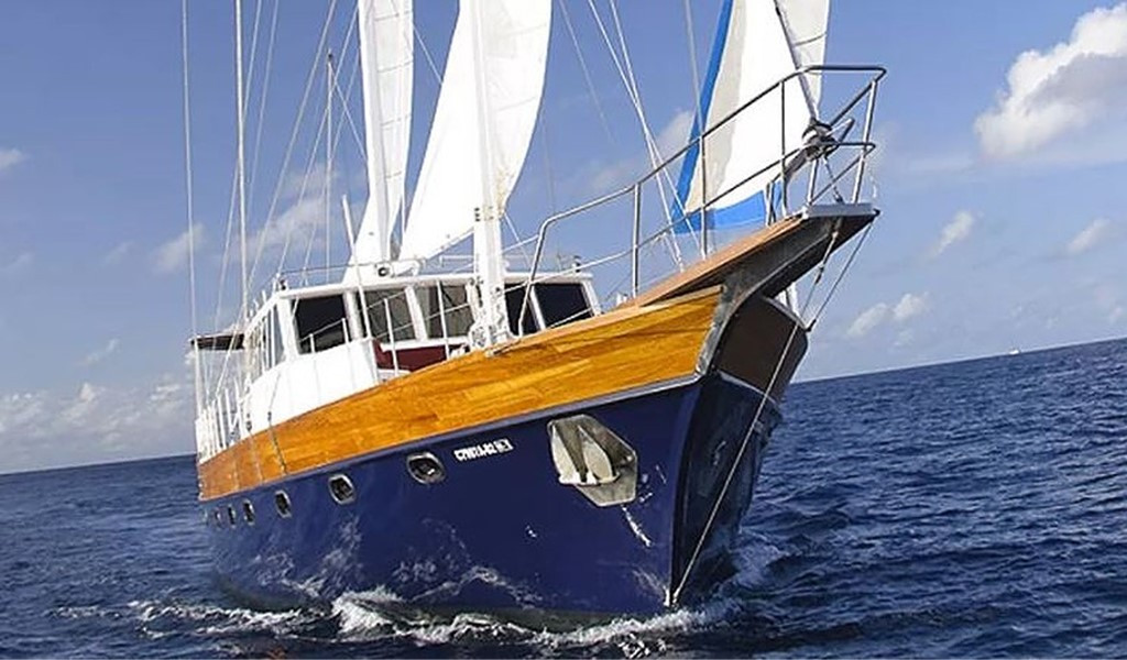 Celebrate Love aboard Ocean Whisperer, Sail Away!
