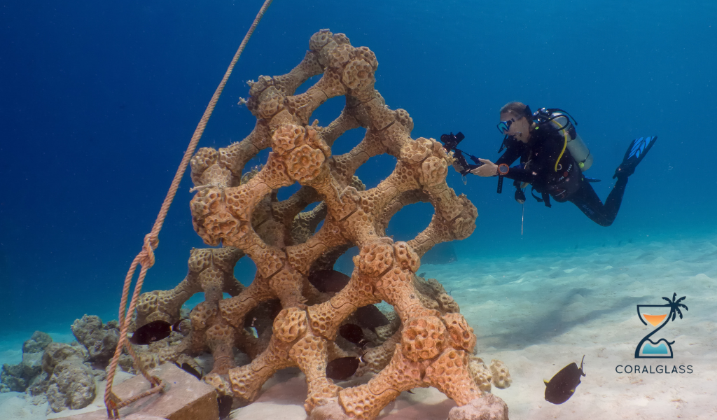 Coral Glass The World's Largest 3D Printed Reef is Officially in